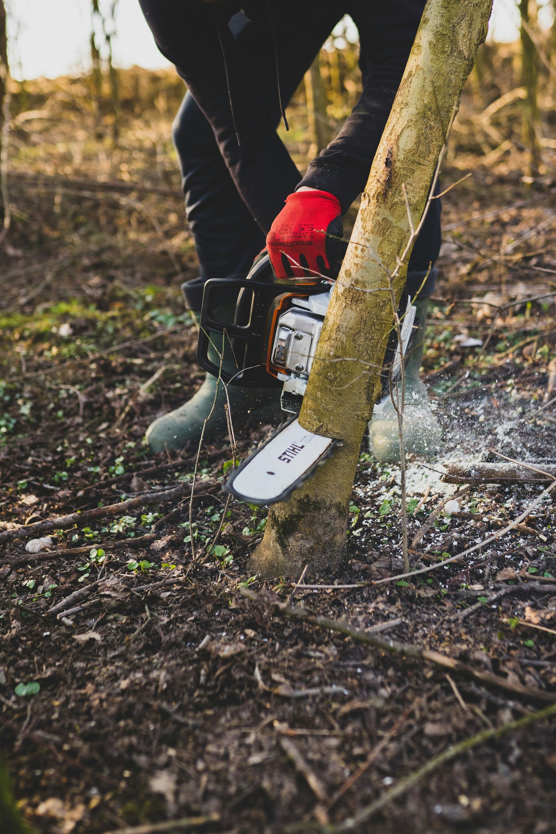 a man is cutting a tree with a chainsaw